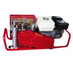 100L/Min 2.2KW 4500psi High Pressure Air Compressor Air Filling System