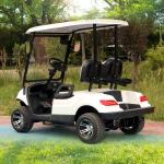 2 Passenger Terminator 48V Electric Golf Cart New Energy 5KW OEM