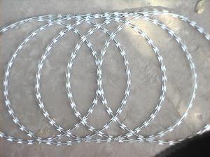 Wholesale Safety Barbed Hdg Concertina Razor Wire Mesh 12x12 Bwg from china suppliers