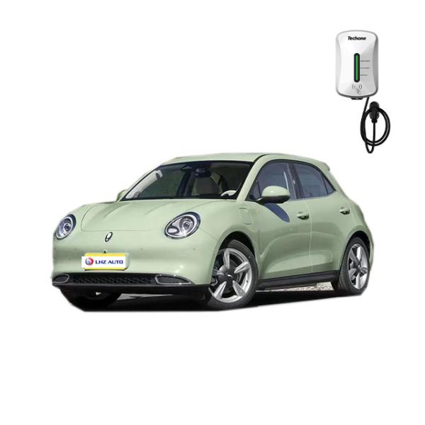Electric Parking Brake 2024 Great Wall Ora Good Cat Car with Car Entertainment