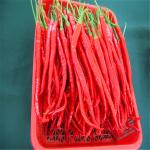 No Pigment Erjingtiao Dried Chilis 16CM Red Stemmed Dehydrating 8000SHU