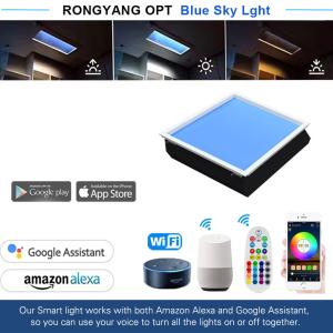 Wholesale AC 100-240V Voltage LED Ceiling Panel Light for Therapy and Long-lasting Performance from china suppliers