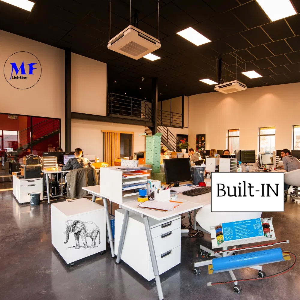 LED Emergency Lighting Ballast Built-in 3-Hour Backup Panic Light Driver For Light