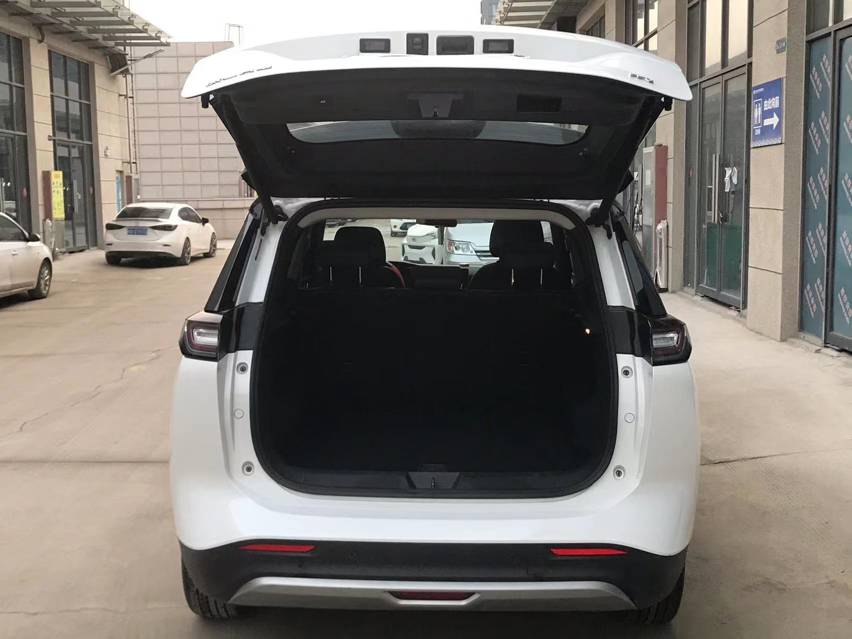 Electric Weltmeister W6 520km NEX Explorer Version 5 Seats SUV New Or Used