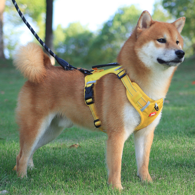 Lightweight Pet Oxford Cloth Harness Vest Reflective Strips For Pets