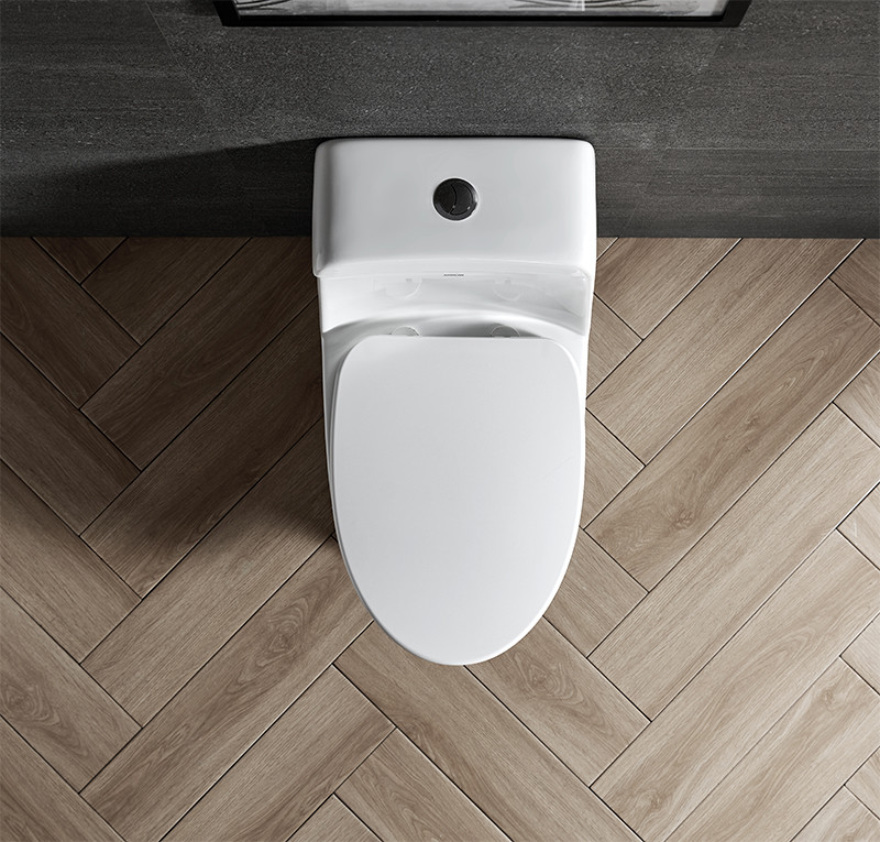 Soft closed WC Ceramic Toilet Bowl Siphon One Piece Dual Flush