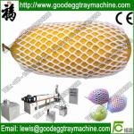 Plastic Net extruder(FC-70)