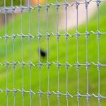 Hot Dip Galvanized Deer Fixed Knot Fence 4ft 5ft 6ft 7ft 8ft