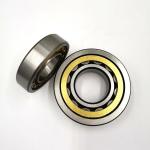 Theoretical Cylindrical Roller Bearing Single Row 35x80x21mm NJ307 EMC3 NJ 307