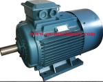 Hydraulic systems electric water pump motor Three Phase 3HP 2.2KW
