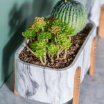Succulents Plant Pots Mini Flower Pots Tabletop Flower Pots Marbled Texture Pot
