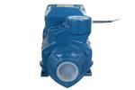 Garden / Farm Irrigation Electric Motor Driven Water Pump 1000W 1 Inch QB80