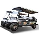 2 Person Electric Mini Golf Buggy Cart 4x4 25Mph ODM For Hotel Farm Garden