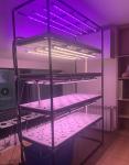 150*60cm Kale Lettuce Indoor Farming Hydroponic Plant Grow Chamber 3 Layer