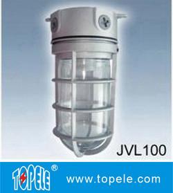 Wholesale 100W 220V Brozen, Gray IP65 Die-Cast Aluminum Vapor Proof Lights, Led Flood Lights from china suppliers