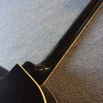 Hollow body jazz electric guitar,Double F hole, tremolo system, black high