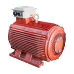 IE3 Squirrel Cage Motor 220KW Electric Motor High Efficiency