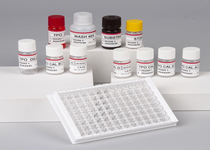 Human Thrombomodulin TM Fetomodulin CD141 THBD THRM ELISA Kit
