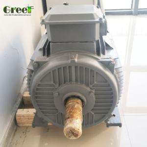 Wholesale FREE ENERGY 5MW Customized Magnet Size speed Permanent Magnet Generator 500Vdc from china suppliers