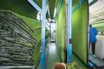 Synthetic Tennis Court Artificial Grass / Plastic Turf Grass Mat 4 Colors