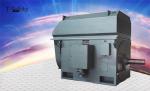 YKK710 YKK630 YKK800 400kw to6000kw AC Electric Squirrel Cage Motors S1 High