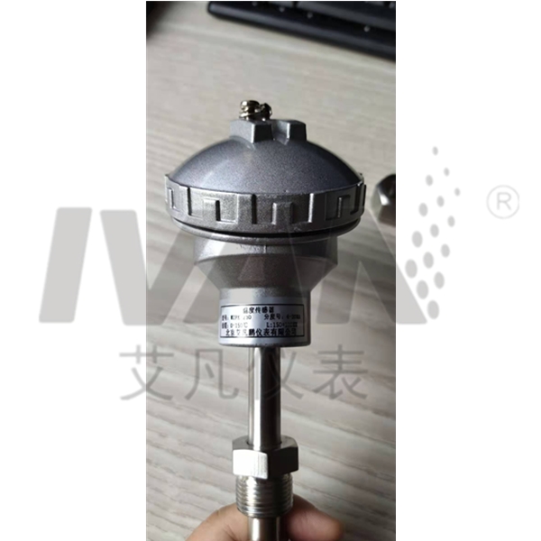 Customized Support OEM High Temperature Armored WZP Temperature Sensor for Industrial