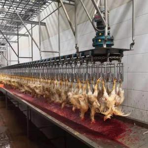 Wholesale Automatic Poultry Scalder Machine stainless steel 304 Poultry Processing Equipment from china suppliers