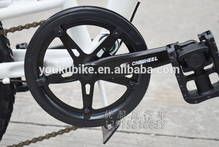 Portable Carbon Fiber 20 Inch Folding Mountain Bike
