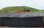 insect repellent net/20x10 Anti Aphid Net/Greenhouse/Agriculture insect proof