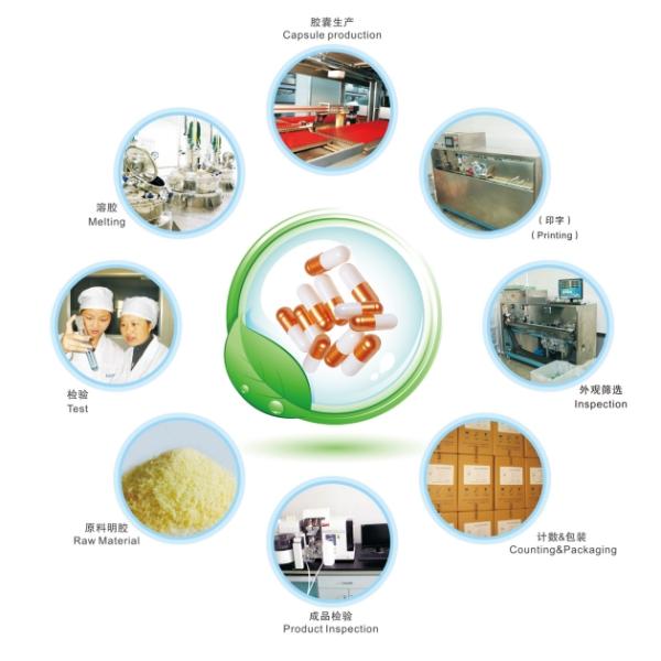 halal certificate pure cattle bone empty gelatin capsules