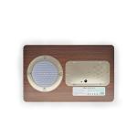 Mp3 Urdu Azan Clock Remote Control Quran Speaker Lamp
