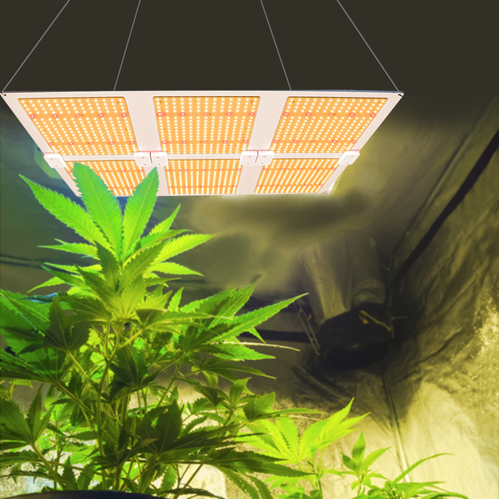 OSP LED Quantum Board