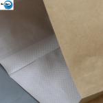 Custom Logo 50kg 25kg Capacity Strong Kraft Paper Laminated PP Woven Bag with