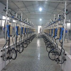 China Automatic Milking Flow Meter Herringbone Milking Parlor for Dairy Farm on sale
