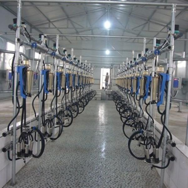 Quality Automatic Milking Flow Meter Herringbone Milking Parlor for Dairy Farm for sale