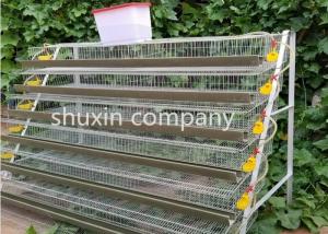 Wholesale A Type Galvanized Steel Automatic Quail Birds Cages , Quail Breeding Cages 6 Tiers from china suppliers
