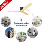Flush Mount Decorative Ceiling Fan With DC Motor Inverter 5 Speed