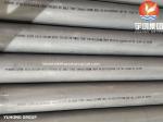 A312 TP310 TP310S TP310H Stainless Seamless Tube Pickled/Bright Annealed