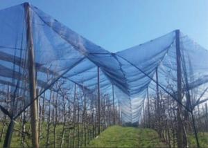 Wholesale UV Treated Virgin HDPE Insect Mesh Netting Fabric 15 Years Guarantee from china suppliers