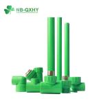 PP-R Plastic Pipe Fittings Valve Tee Elbow Tube Plumbing Fittings for Initial