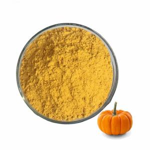 China Healthy Foods Dehydrated Dried Pumpkin Powder With ISO Certification on sale