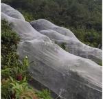 40 50 60 Mesh 125g Agriculture Greenhouse Anti Insect Net With Acceptable