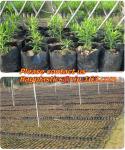 PLASTIC GROW BAGS, NURSERY PLANTER, SEED HYDROPONICS, FLOWER POTS, BLACK Grow
