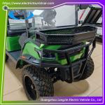 2 Seats Star Electric Golf Cart AC Motor Electric Passenger Bus With CE Approved