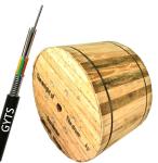 12 24 48 core outdoor stranded Loose Tube steel armoured GYTS direct bury/duct