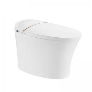 China Automatic Flush One Piece Smart Toilet Seat Heating 690x410x470mm on sale