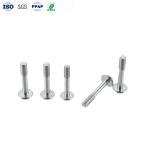 Stainless Steel Phillips Pan Head Anti-Loosening Screws for Bsf Thread Custom
