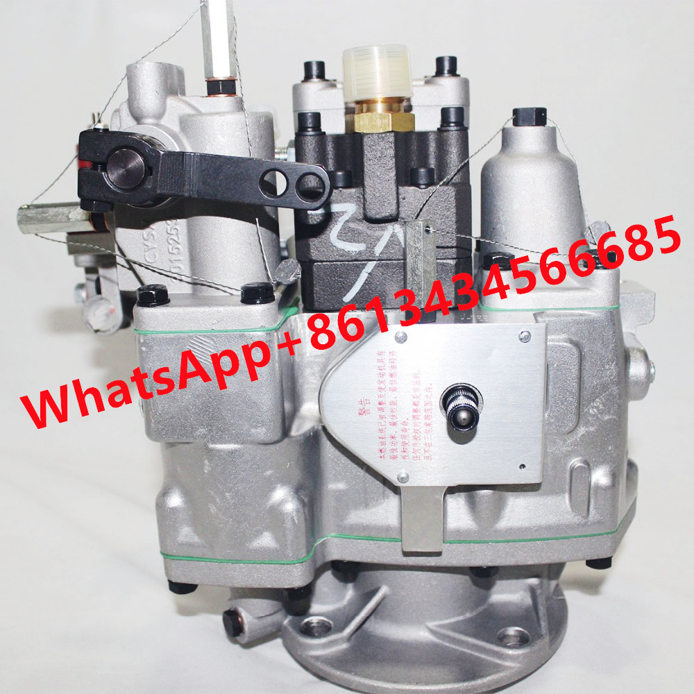 NT855 Genuine PT Fuel Injection Pump Diesel Engine 3262033