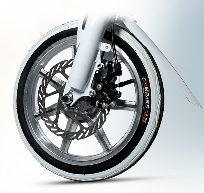 Australian Standard 36V 250W Electric Bike With CE Certificate And Single Derailleur