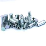 Color Zinc Plating Plated Zinc Coating Stainless Steel Expansion Rivet Nut
